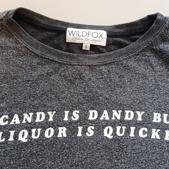 Wildfox Candy is Dandy but Liquor is Quicker Soft Knit Crewneck Sweater - Picture 7 of 12